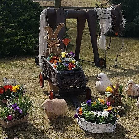 Urlaubsscheune Niedergorsdorf Kültér fotó